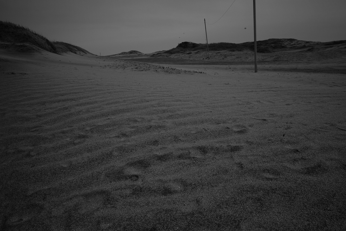e0025893_1183541.jpg