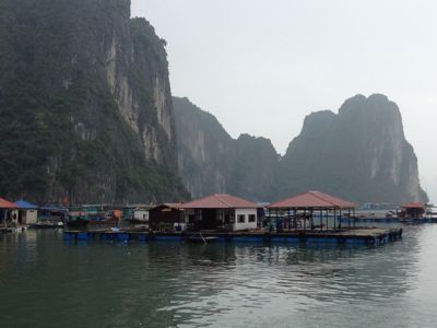 b0124995_175278.jpg