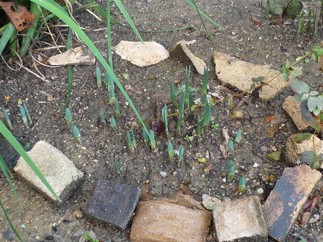 f0250403_11422616.jpg