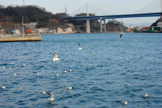 b0209919_22432458.jpg