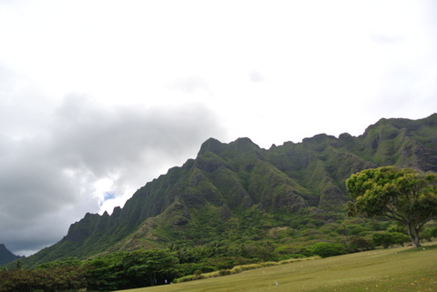 e0219520_15255110.jpg