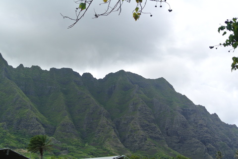 e0219520_15334848.jpg
