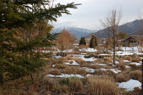 c0107129_235914100.jpg