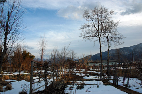 c0107129_23593021.jpg