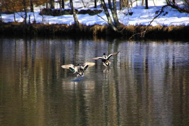 a0205834_1213653.jpg