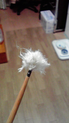 f0247039_932225.jpg