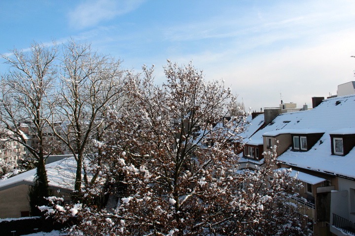 c0153740_0562248.jpg