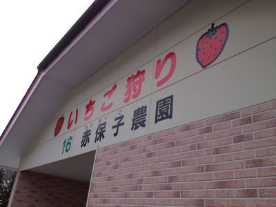 c0206645_1742217.jpg
