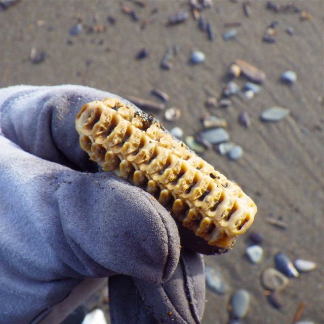 e0290546_1838879.jpg