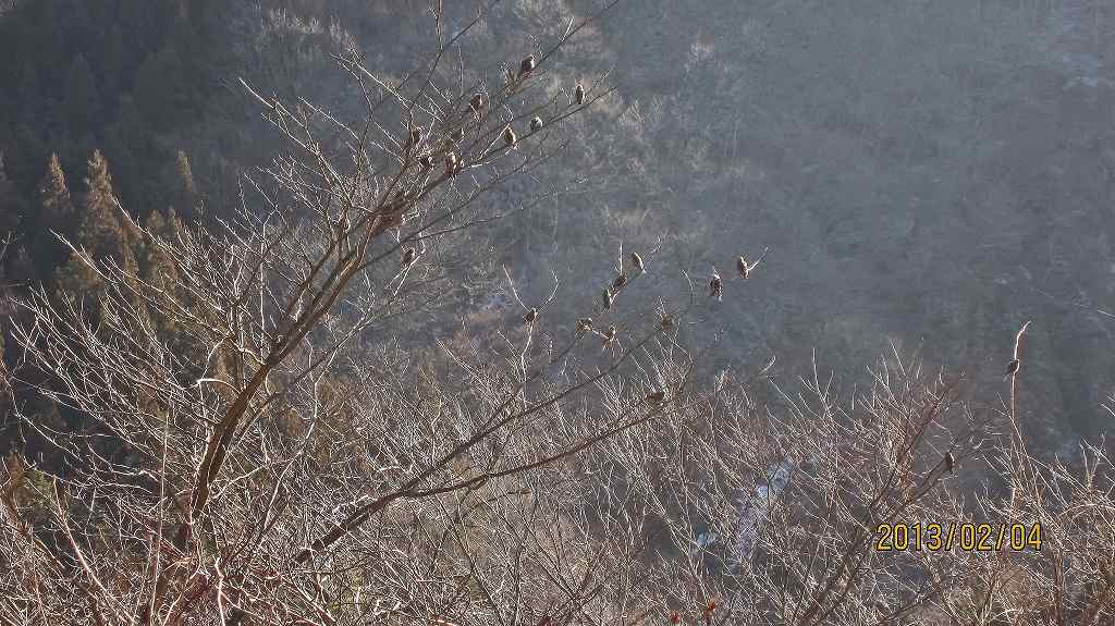 f0044056_8163844.jpg