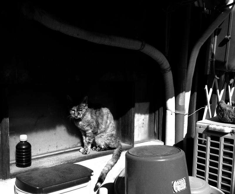 e0053660_19201623.jpg