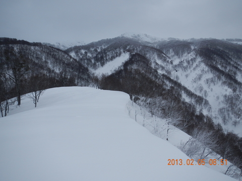 f0036360_225169.jpg