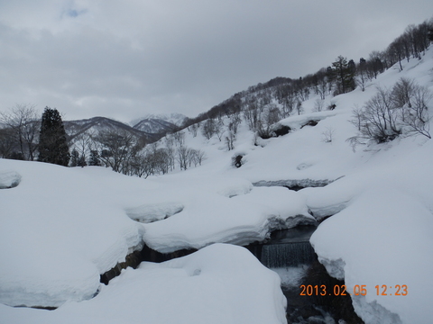 f0036360_2263881.jpg