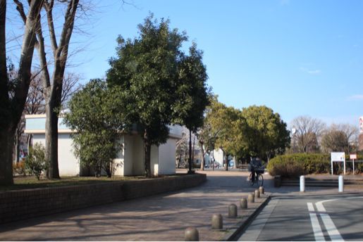 f0230961_1437258.jpg