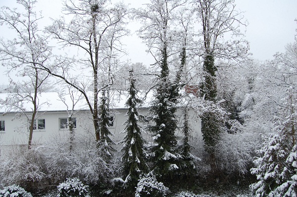 f0097363_18444541.jpg