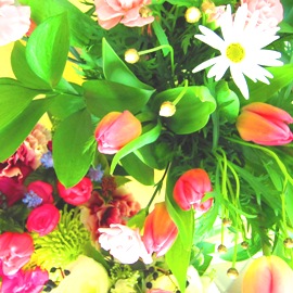 b0091164_1437364.jpg