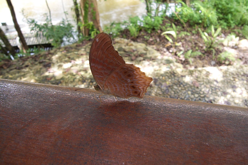f0090680_22503512.jpg