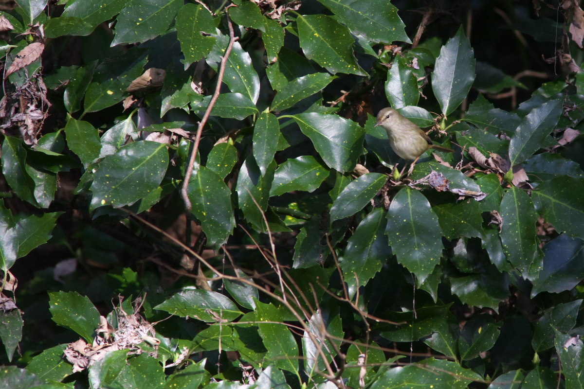 a0083081_15142390.jpg