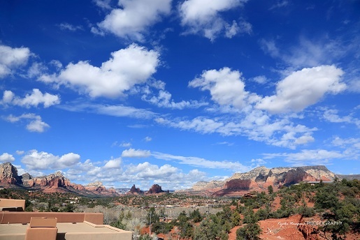 e0148185_8321960.jpg