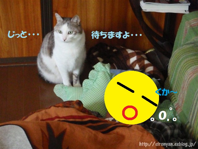 a0159490_13462941.jpg