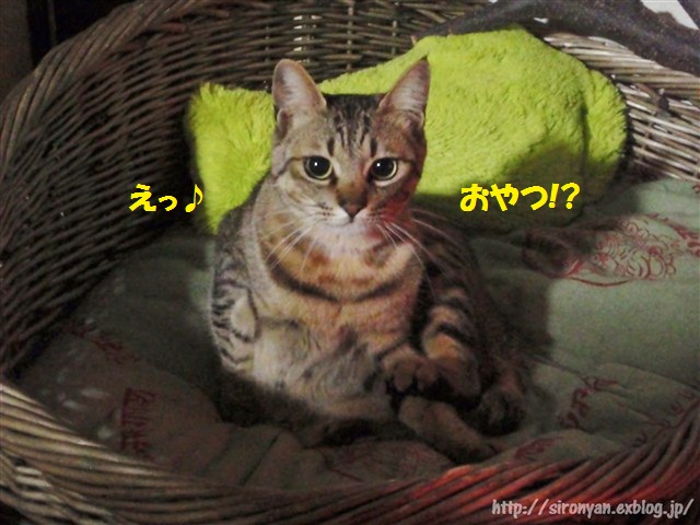 a0159490_1348337.jpg