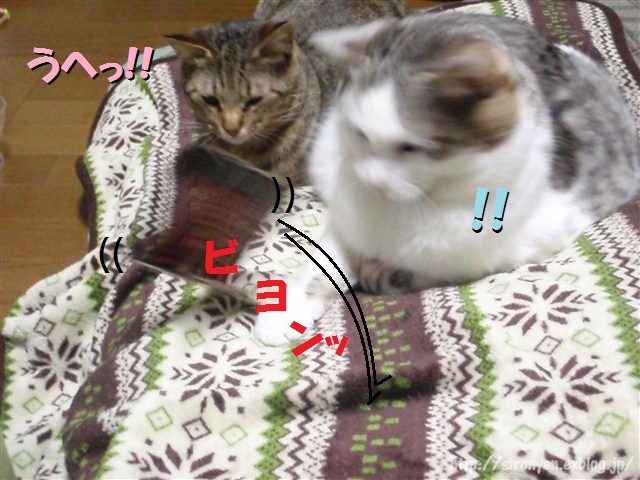 a0159490_1522899.jpg