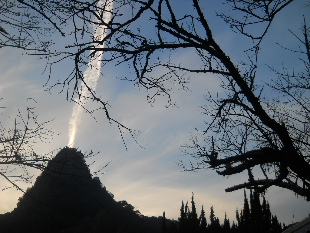 f0146802_22331975.jpg