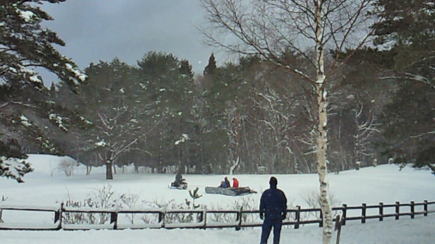 d0149105_1261479.jpg
