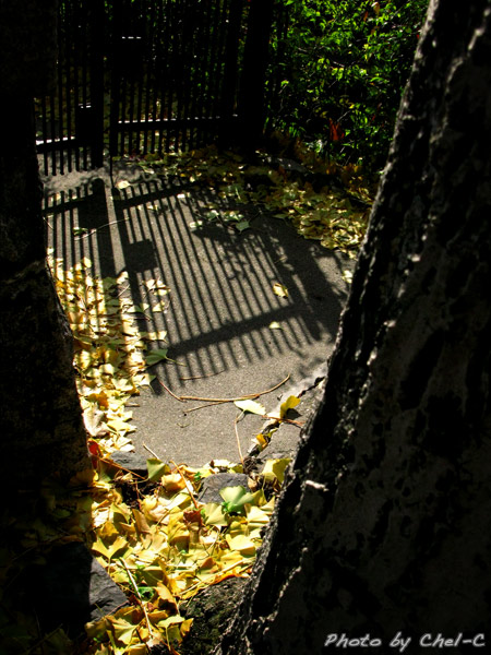 a0154706_14265520.jpg