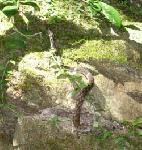 e0126914_2317552.jpg