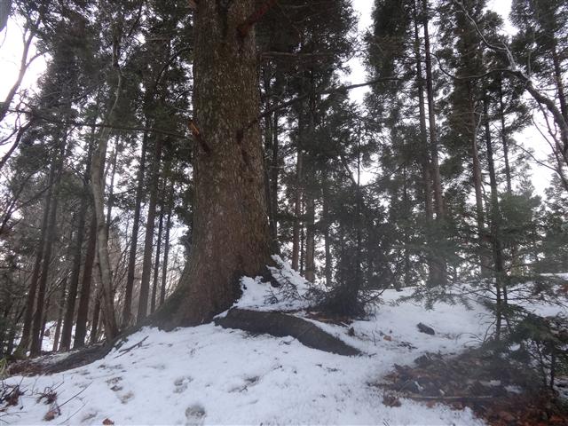 a0127015_19162173.jpg