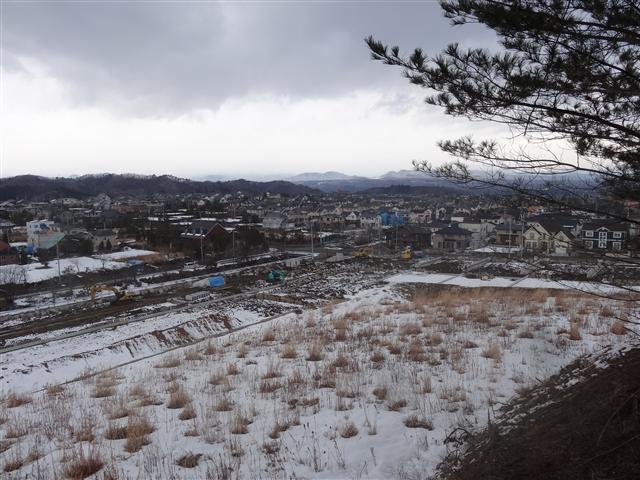 a0127015_1918728.jpg