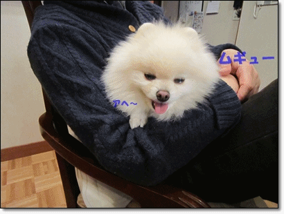 b0167519_16311228.gif