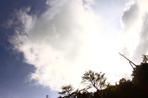 d0158028_18405130.jpg