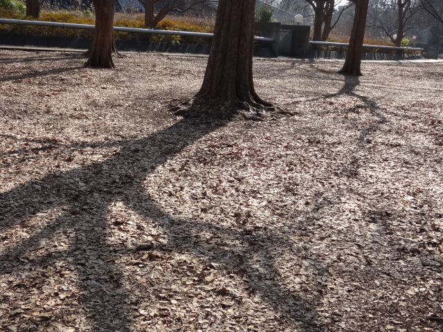 e0016828_11391426.jpg