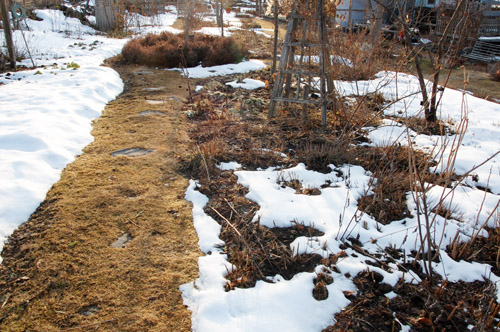 c0107129_002881.jpg