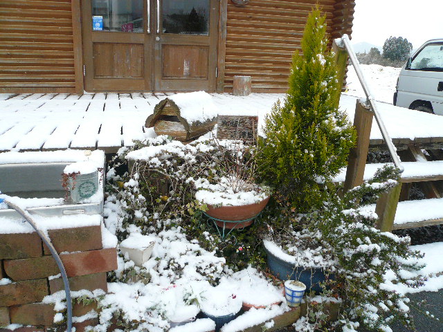 a0162330_10234436.jpg