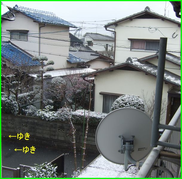 c0004734_21433919.jpg