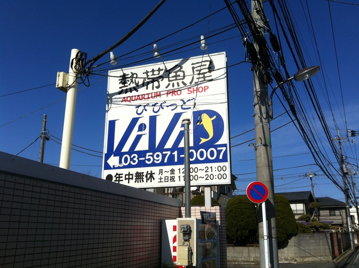 c0250835_12415874.jpg