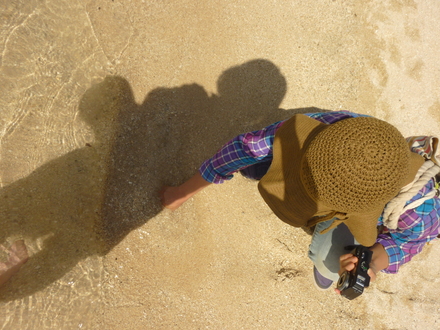 d0174037_535281.jpg