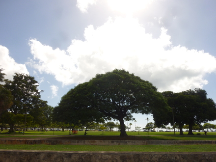d0174037_5363483.jpg
