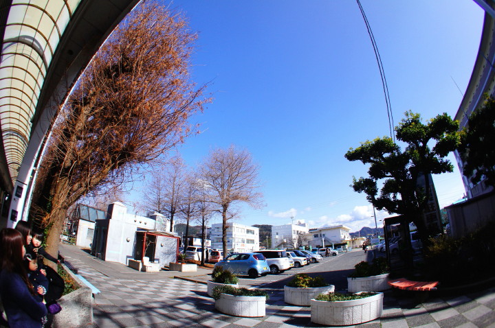 d0241937_1542757.jpg