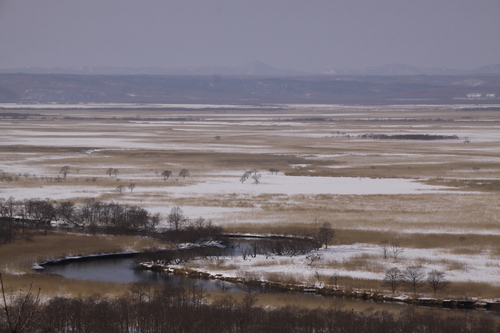 f0113639_1613559.jpg