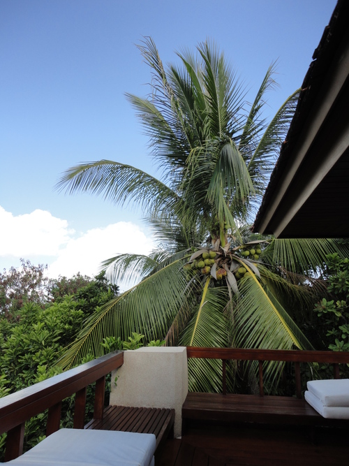 c0214842_3485945.jpg
