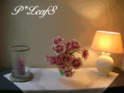c0176651_119440.gif