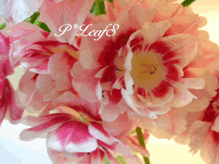 c0176651_1194969.gif