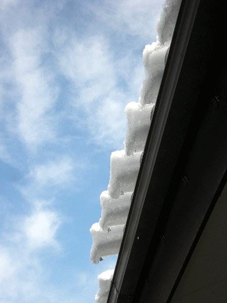 a0001354_22292447.gif