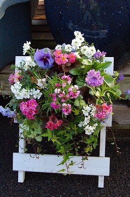 e0025655_5482551.jpg