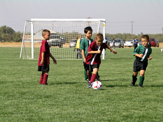 f0238562_7405625.jpg