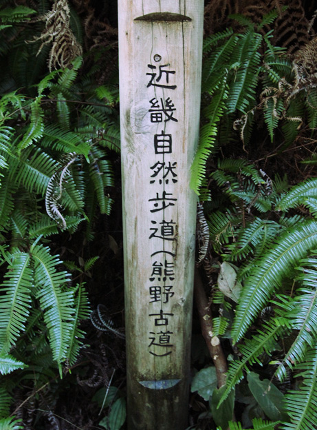 d0151787_1745314.jpg